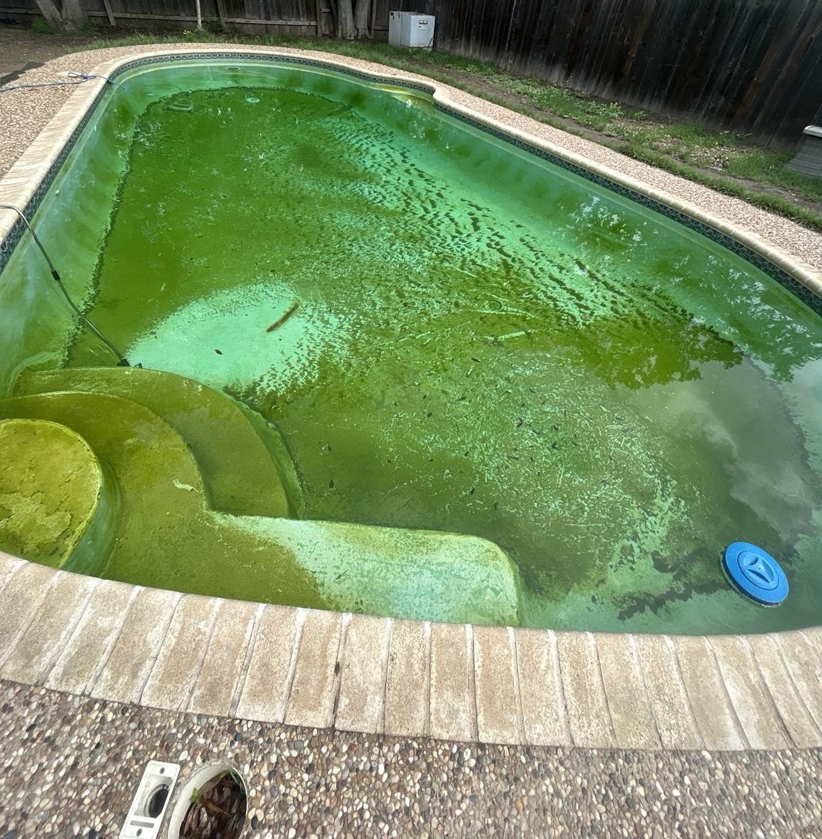 Green pool at hour 12 of service — algae bloom fully visible